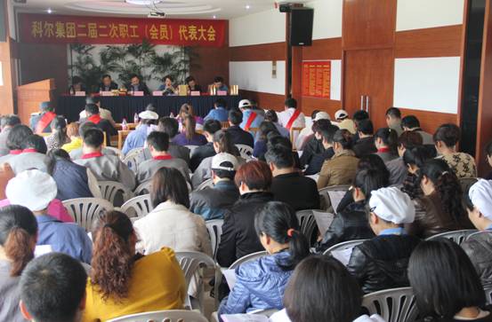 集團二屆二次職工代表暨工會會員代表大會順利召開