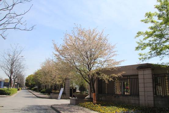 1555050762175989oLsY.jpg image005.jpg