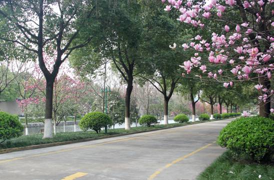 1555050786506367S0t6.jpg image007.jpg