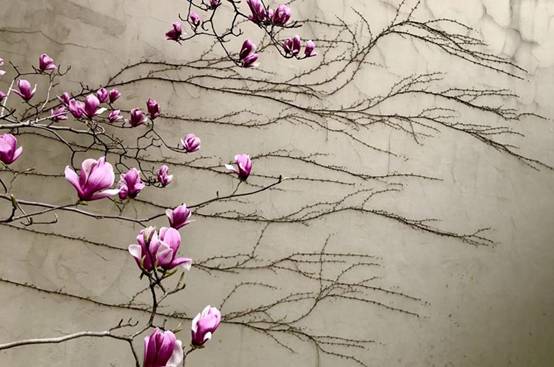 1555050801103534lL8M.jpg image009.jpg