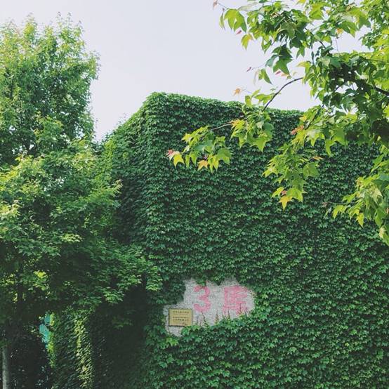 1555050871212272jzWf.jpg image011.jpg