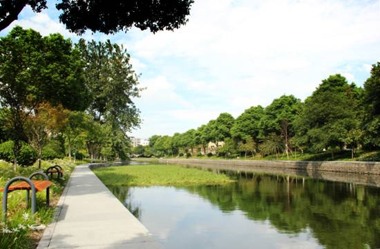 15550509441127697X5o.jpg image015.jpg