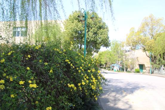 1555051145466395ZKJY.jpg image019.jpg