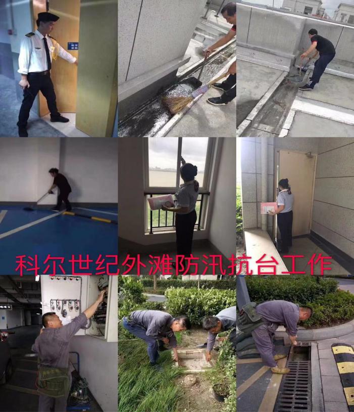 1565574870189019I4iR.jpg 1565574870189019I4iR.jpg